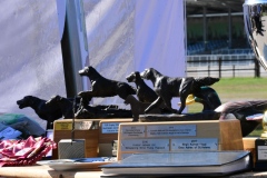 FCR-Trophy-201935