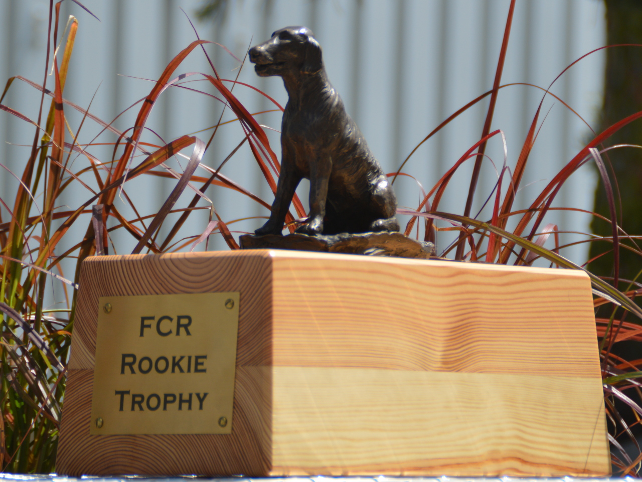 FCR Rookie Trophy