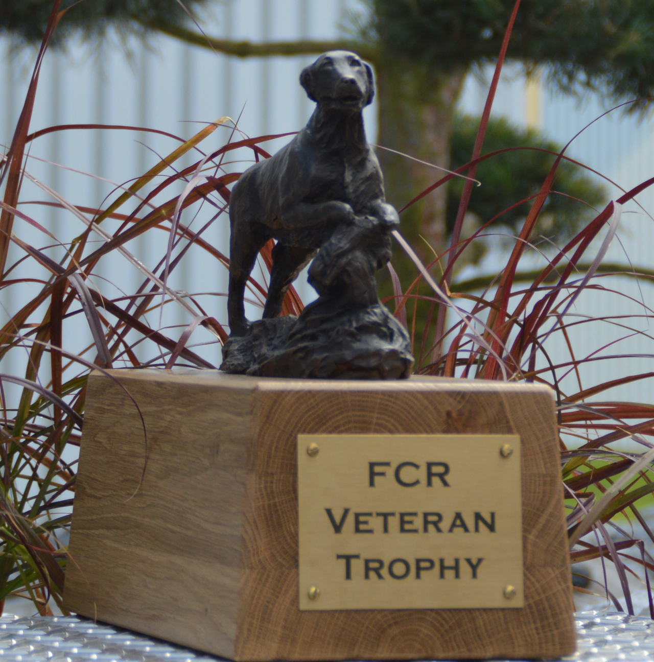 FCR Veteran Trophy